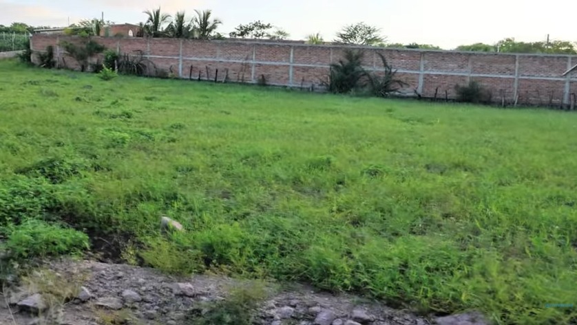 comascosv